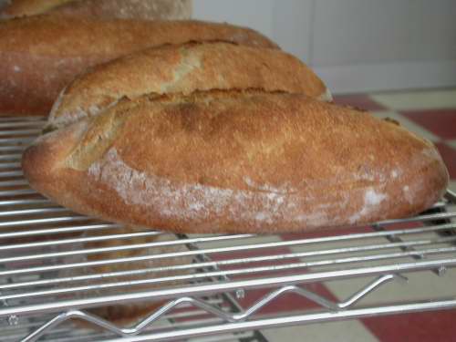 demi on cooling rack