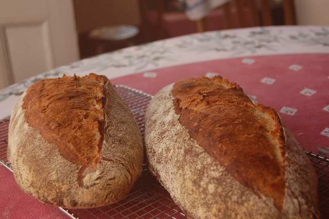 Demis made at home 11 April 2010
